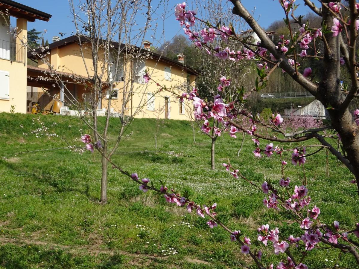 Cascina Legnago Trilocale A 6 Chilometri Da Salo' Διαμέρισμα Villanuova sul clisi Εξωτερικό φωτογραφία