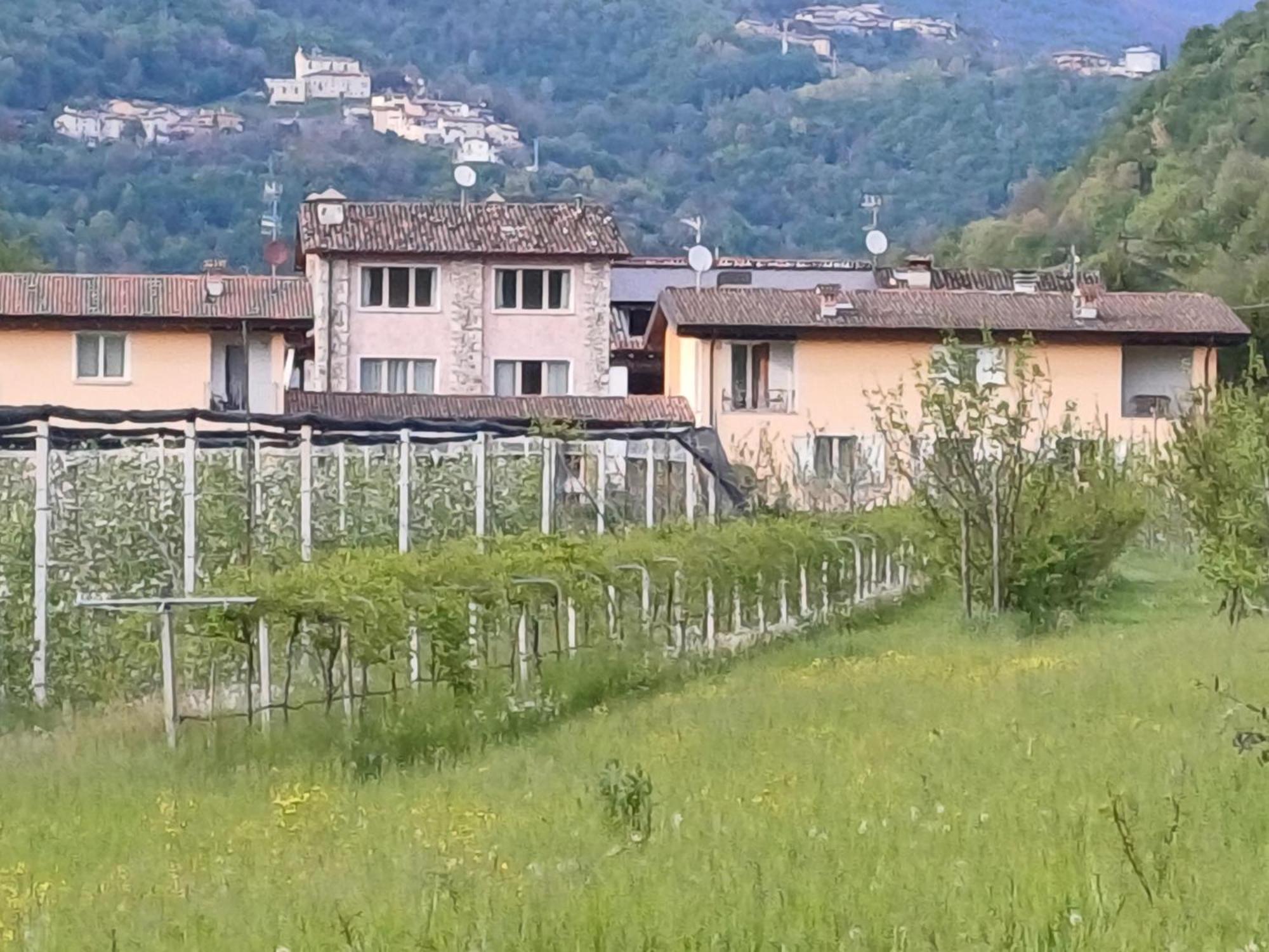 Cascina Legnago Trilocale A 6 Chilometri Da Salo' Διαμέρισμα Villanuova sul clisi Εξωτερικό φωτογραφία