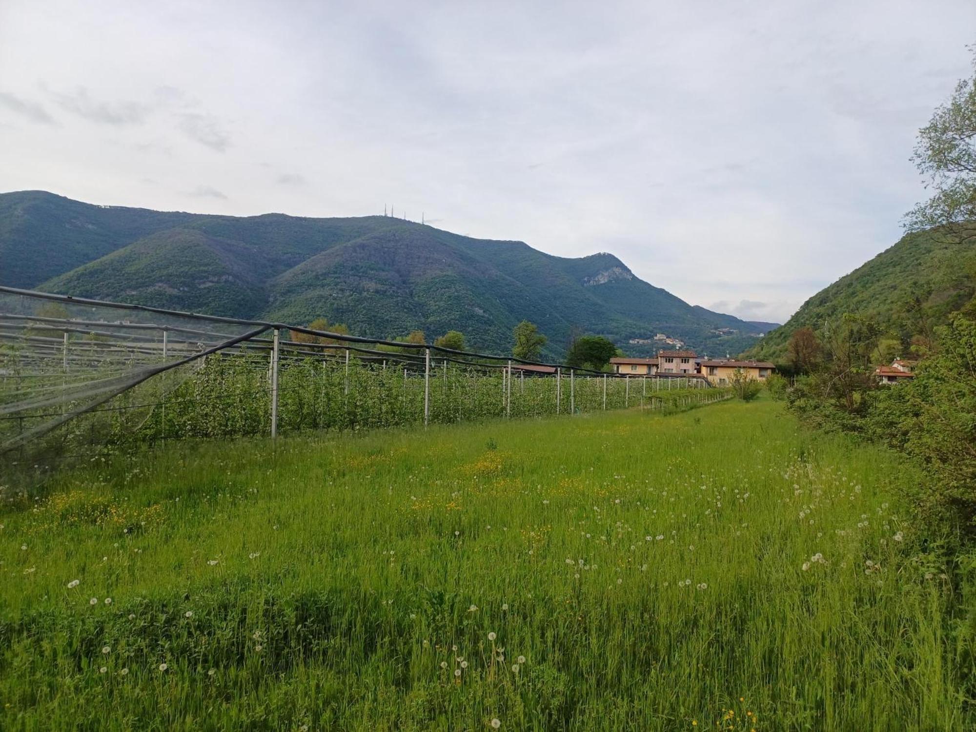 Cascina Legnago Trilocale A 6 Chilometri Da Salo' Διαμέρισμα Villanuova sul clisi Εξωτερικό φωτογραφία